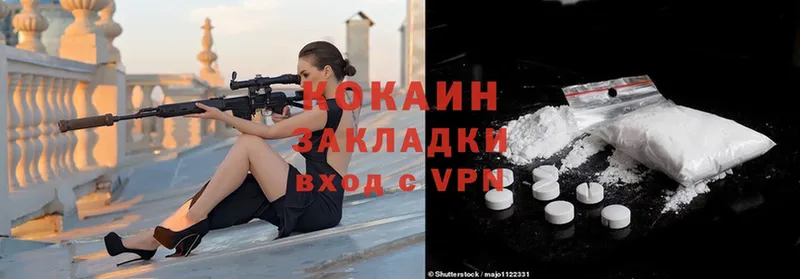 Cocaine FishScale  где купить наркоту  Тара 